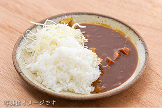 ミニカレー