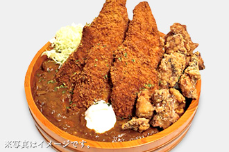 茨城肉づくし豊田城カレー