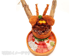 絶景！！豊田城丼