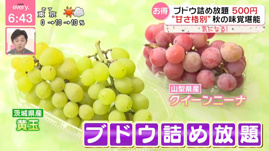 日本テレビ「news every.」