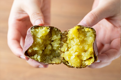 2025年10月25日（土）から10月31日（金）までの7日間、秋の恒例イベント「道の駅常総ハロウィン2025」