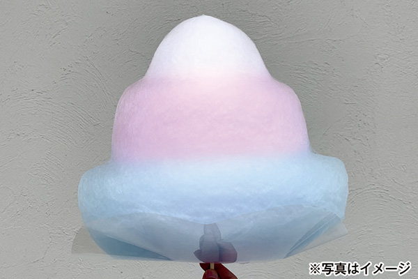 わたあめ プレゼント