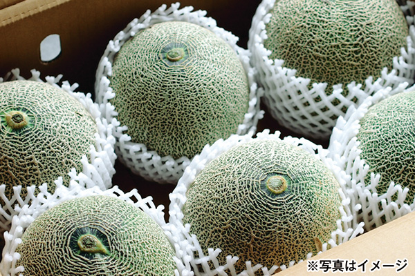 茨城県産メロンの特売