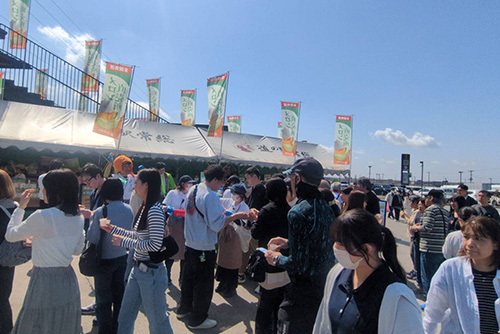 ■先着50名様限定！朝一メロン大特価市で1玉777円
