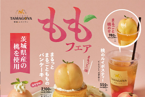 この夏だけの、旬の味覚を!地元農家さんの旬の夏野菜と茨城県産の桃が主役の限定メニューが新登場✨