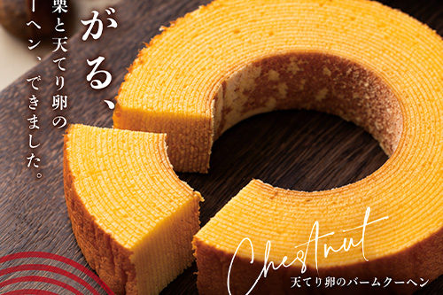 いなほ食堂で、茨城県の農家さんが大切に育てた旬の野菜を使用した、季節限定メニューが登場!旬の野菜を楽しめる4品をご賞味ください!